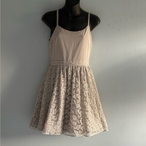 Alice & Olivia size 4 Elegant Lace Skater Dress BNWT